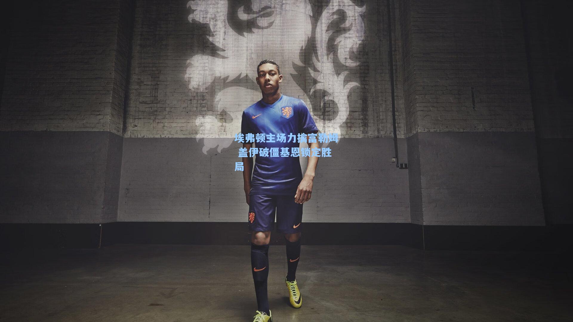 埃弗顿主场力擒富勒姆 盖伊破僵基恩锁定胜局